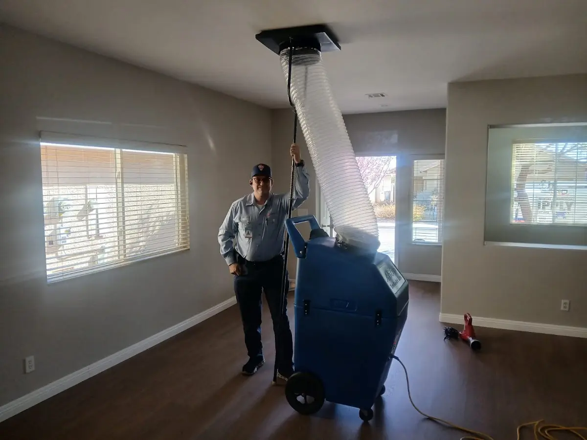 Professional Dryer Vent Cleaning work inside a Finley home